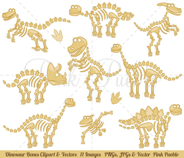 Dinosaur Fossils and Bones Clipart and Vectors - PinkPueblo